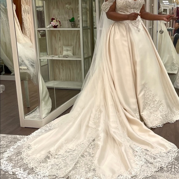 BRAND NEW-Maggie Sottero Light Champagne Pewter Accent Wedding Dress. Size 10 - Picture 4 of 7